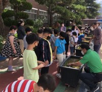 홍주초등학교, 홍주띠앗활동 모내기 1일 농부체험활동 실시