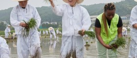 박경귀 아산시장 “‘에코 농 페스티벌’, 전통 농법 보존·계승하는 축제로 키울 것”