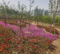 천안시, ‘청당동 기후대응 도시숲 조성사업’완료