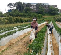 홍성군, 새내기 귀농인 인력지원 사업 추진