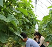 홍성군, 식물병원 운영