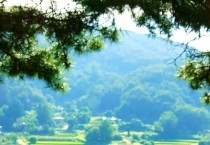 '유기농업특구 홍성' 농촌지도사업 '전국 최우수'