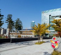 한국행 대만 크루즈관광객 늘고 있다
