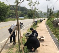 아산시 상수도과, 자매결연마을 도로변 잡초제거 봉사활동