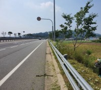 아산시, 여름철 대비 국도변 가로수 제초작업