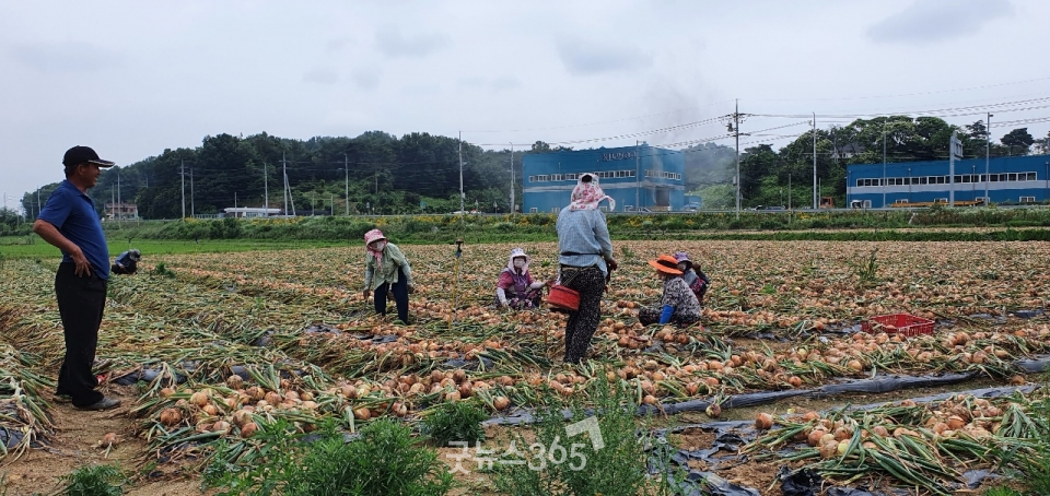 ‘2021년 농어민수당’ 신청을 앞두고 영농작업에 나선 농민들