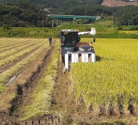 청양군, 벼 적기수확으로 고품질 쌀 생산 당부