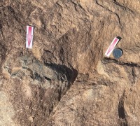 부여 세도면에서 공룡알 화석 발견