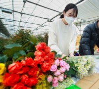 “졸업·입학 꽃 선물도 인터넷 쇼핑으로” 태안군 ‘온라인 꽃 판매’ 인기